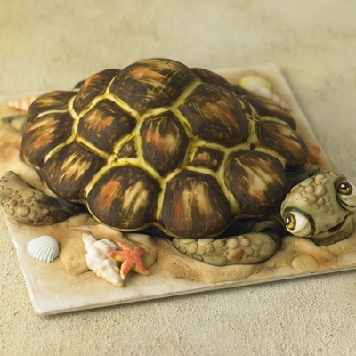 Turtle Cake!