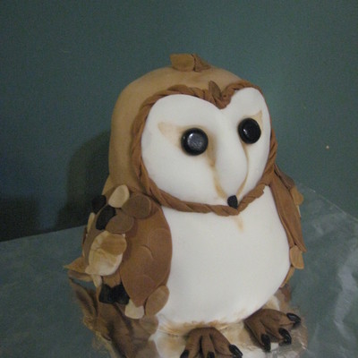 Barn Owl Cake