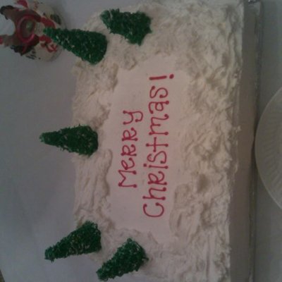 Christmas Cake!