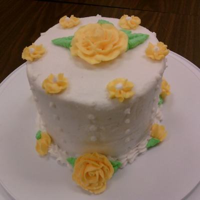 Wilton Course 1 Cake