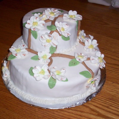 Wilton Course 3 Final Cake