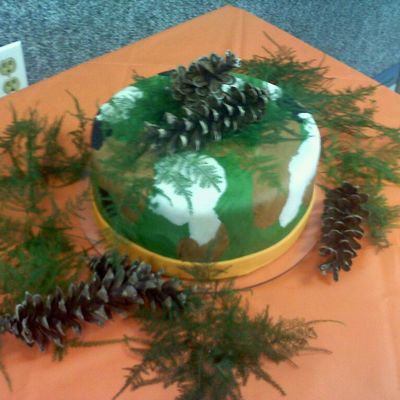 Camo Cake