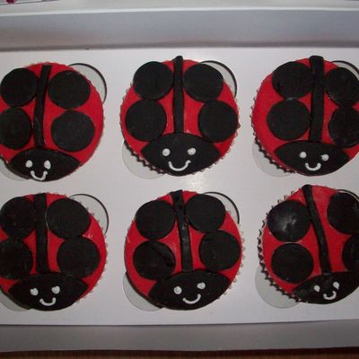 Ladybird Cupcakes