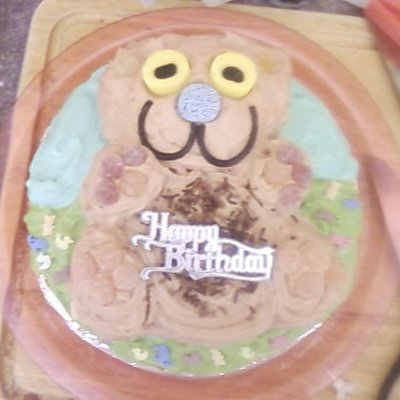 Teddy Bear's Picnic Cake