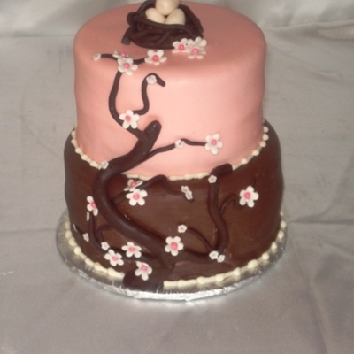 Bird's Nest Baby Shower Cake