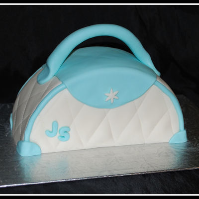 Purse Cake
