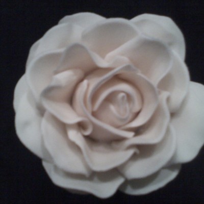 Blush Rose