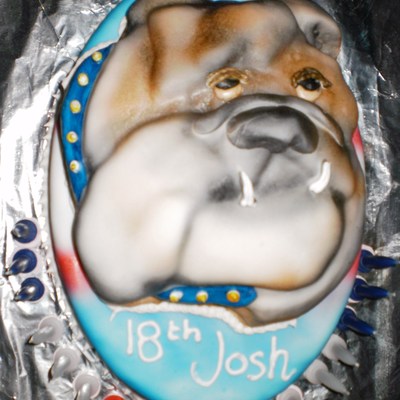 Bulldog Cake