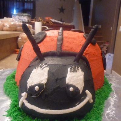 Ladybug Cake