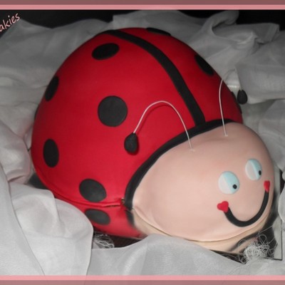 Ladybug!