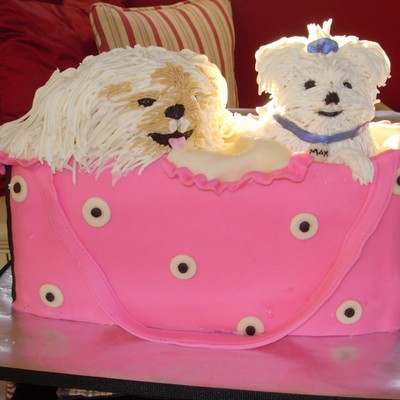 Puppies In Carry Bag