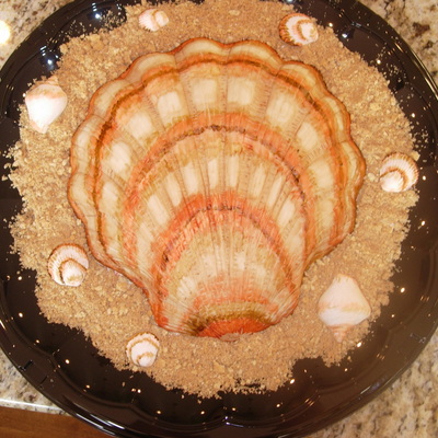 Seashell Cake