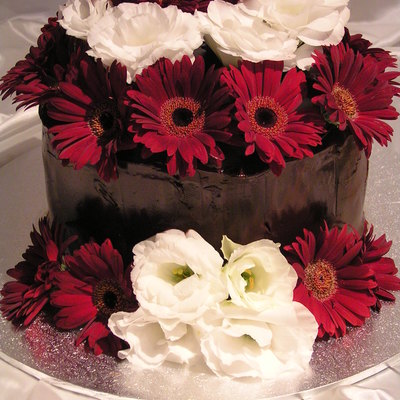 Red, White And Chocolate