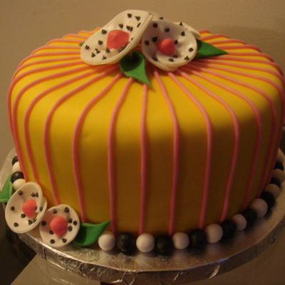 Kaitlin's Birthday Cake