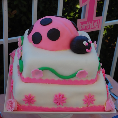 Little Miss Ladybug's 1St Birthday!