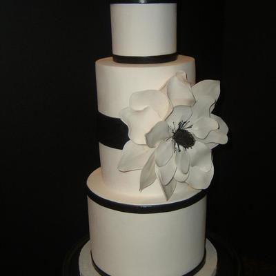 Black White Magnolia