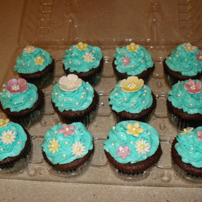 Teal Cupcake