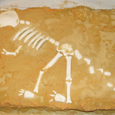 Dinosaur Skeleton Dig