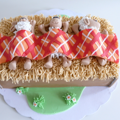 Sleeping Sheep