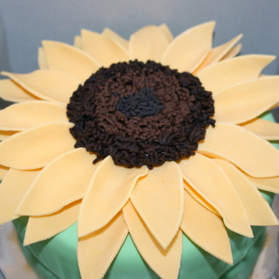 Sunflower Cake