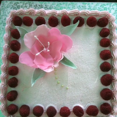 Raspberry Cake