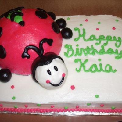 Lady Bug Cake