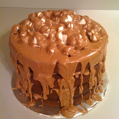 Mississippi Mud Cake