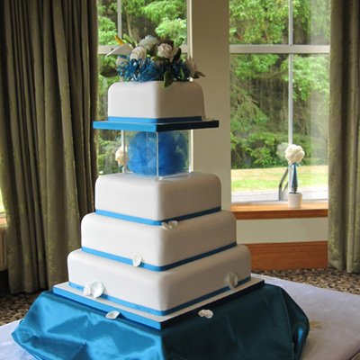 My Daughters Wedding Cake