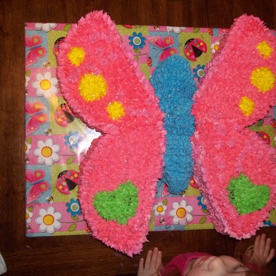 Butterfly Shaped Cake