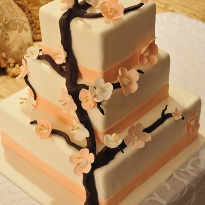 Cherry Blossom Cake