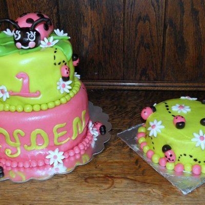 Ladybug 1St Birthday Cake