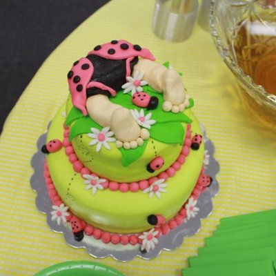 Ladybug Baby Shower