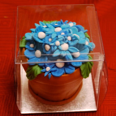 Flower Pot Mini Cake