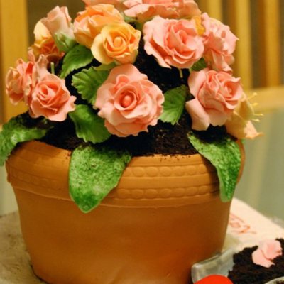 Flower Pot Cake