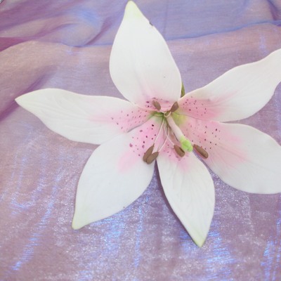 Lilly