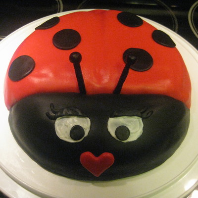 Ladybug Birthday Cake