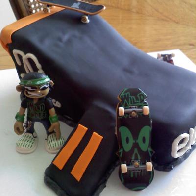 Skate Board Ramp