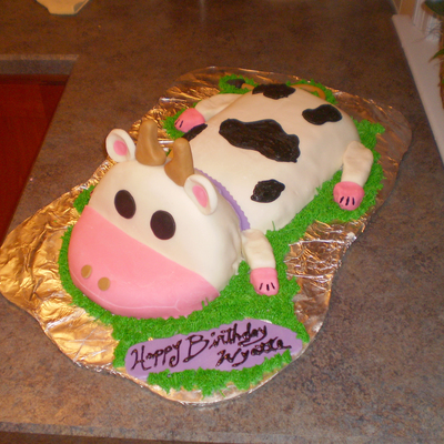 Cow Laying In Pasture