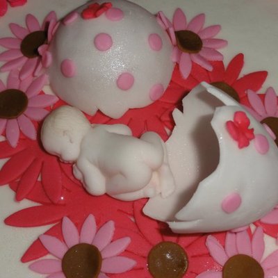 A Baby Girl Has Hatched