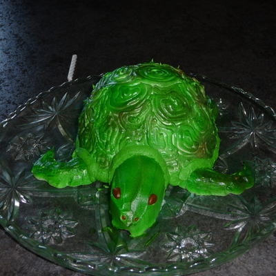 Turtle Smash Cake