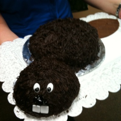 Beaver Birthday Cake