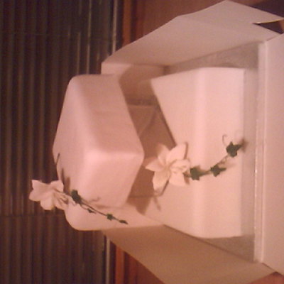 Just Playing With A Dummy Cake And Spare Flowers