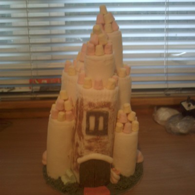 My First Novelty Cake