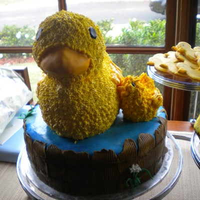 Two Ducks