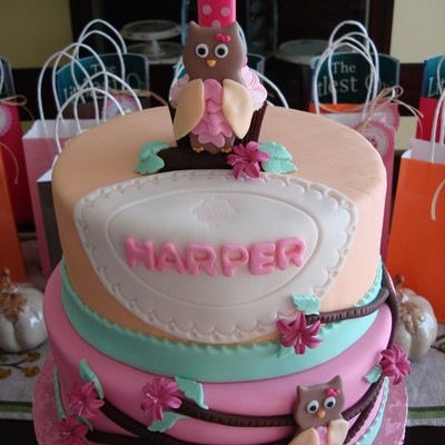 Who's Turning One Owl Cake