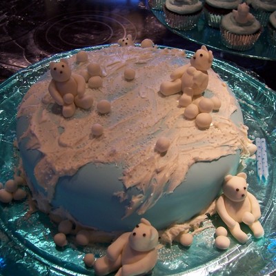 Polar Bear Snowball Fight