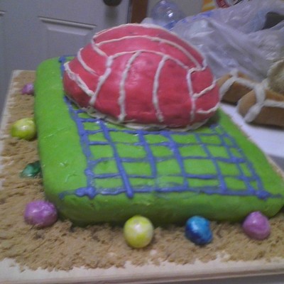 Beach Volleyball Cake