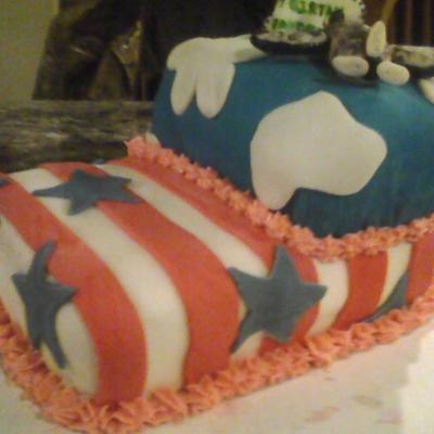 4Th Of July Airplane Cake