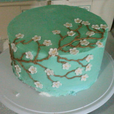 Cherry Blossoms