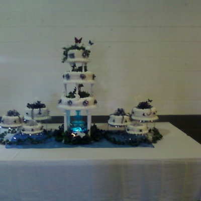 Butterflies And Bows